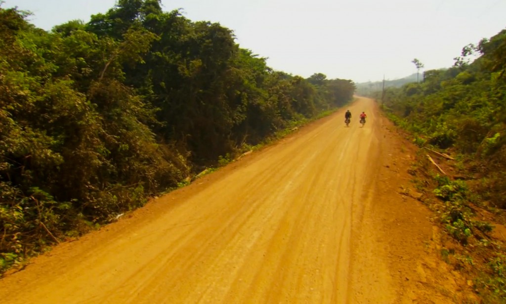 pyoralla-halki-amazonin
